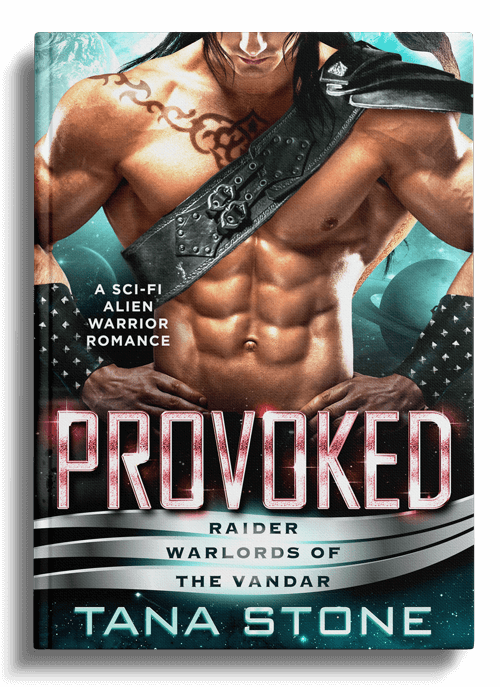 Provocato da Tana Stone Copertina del libro di Provoked di Tana Stone