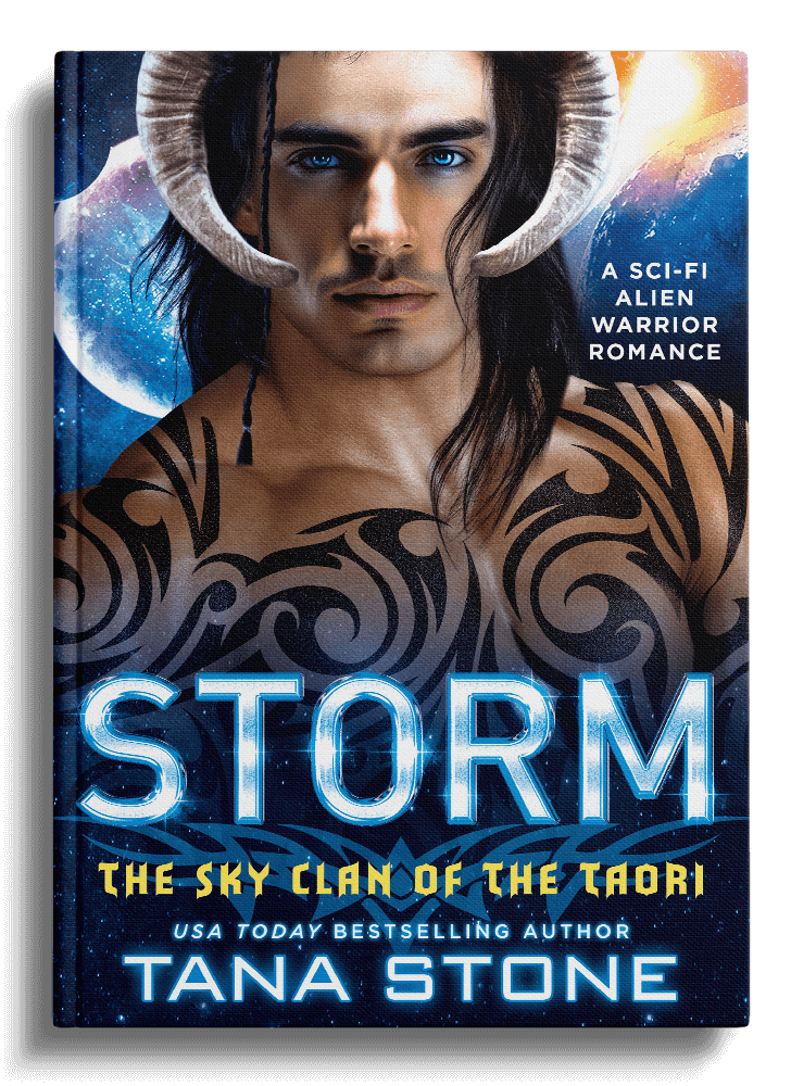 Book cover of Storm by Tana Stone
