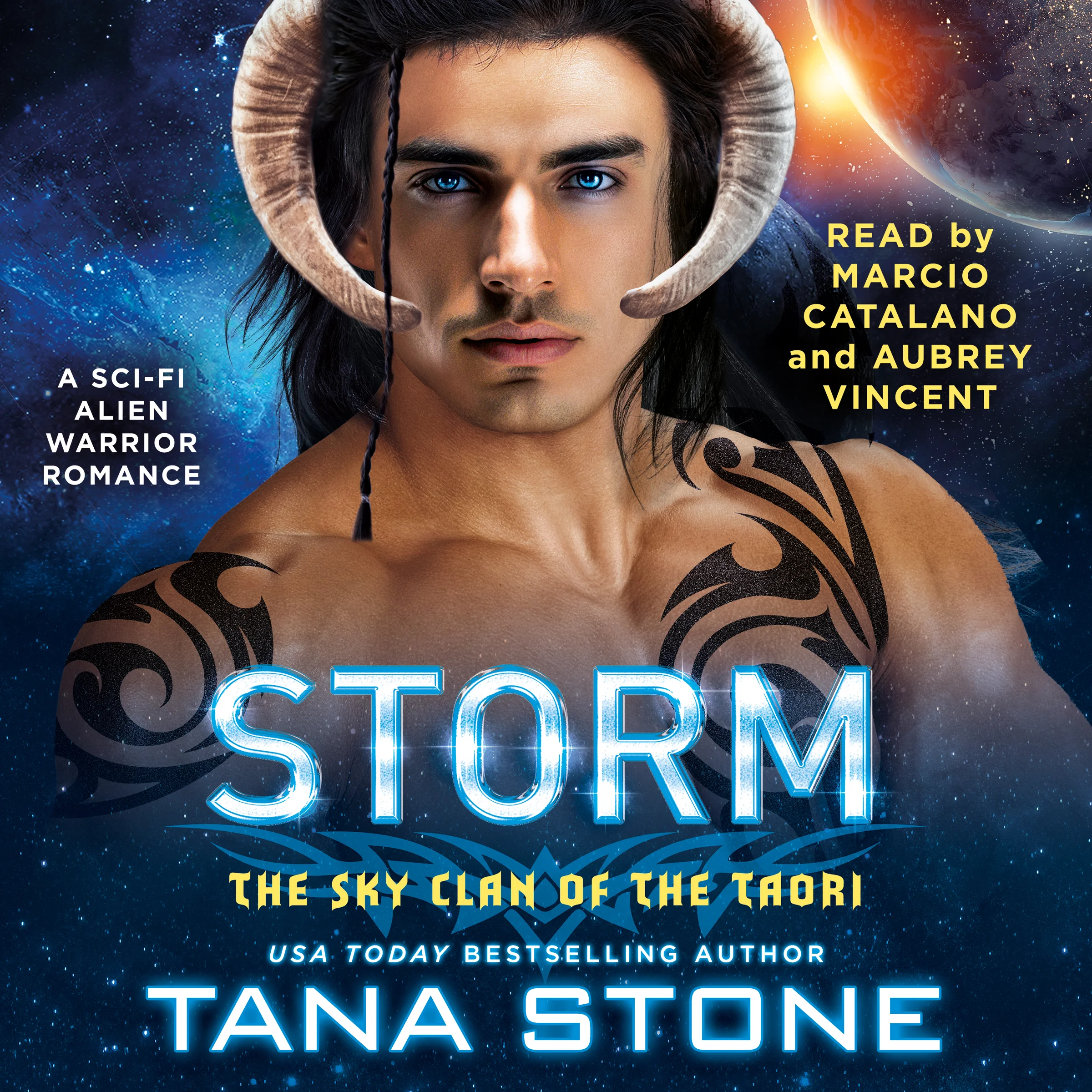 Audiobook cover of Storm by Tana Stone